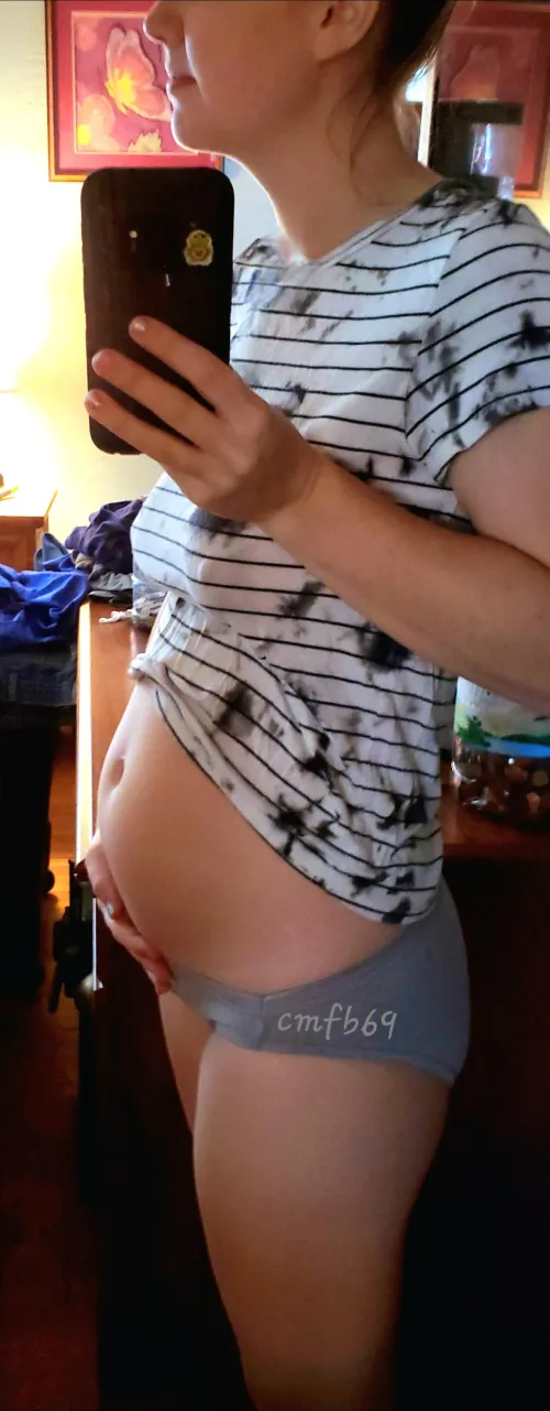 Thumbnail Love Having a Bump: Pregnancy Joys Unveiled by cmfb69