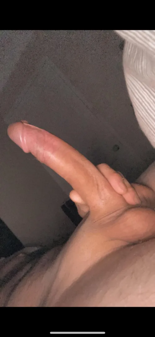 Thumbnail Exploring Aussie Cock: 25m Enthusiasts' Opinions by Visual-Party-3584