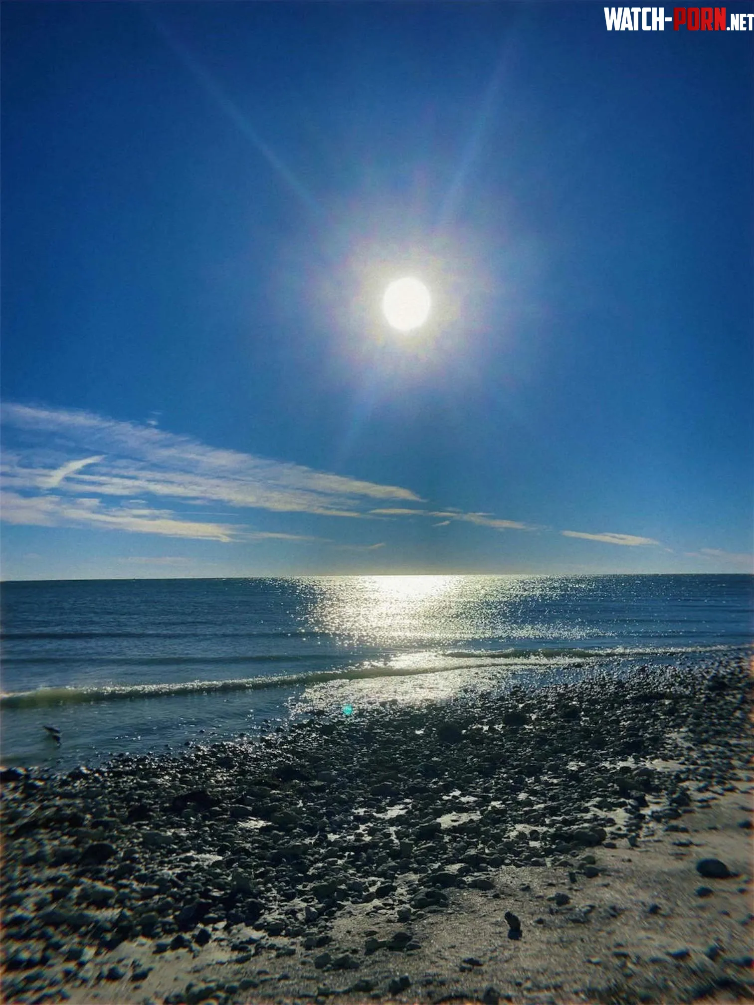 Honeymoon Island FL by mrtoes1