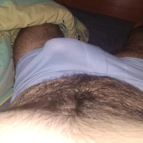 Thumbnail Good Morning Boys and Bros: Bulges Category by max_schenk_