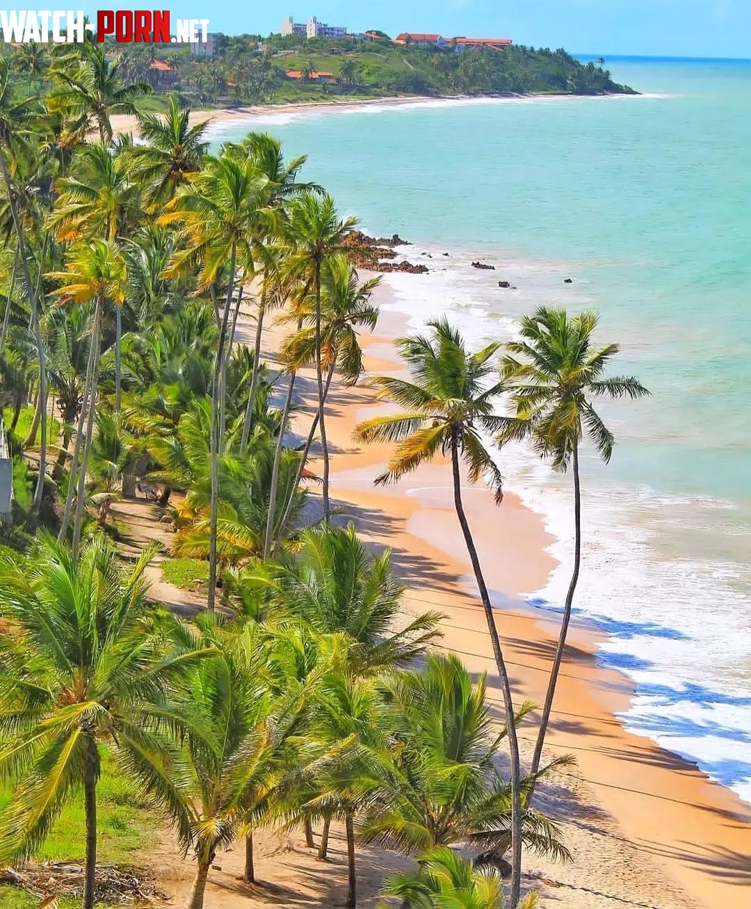 Tabatinga Beach  Paraiba  Brazil  by benoniprado