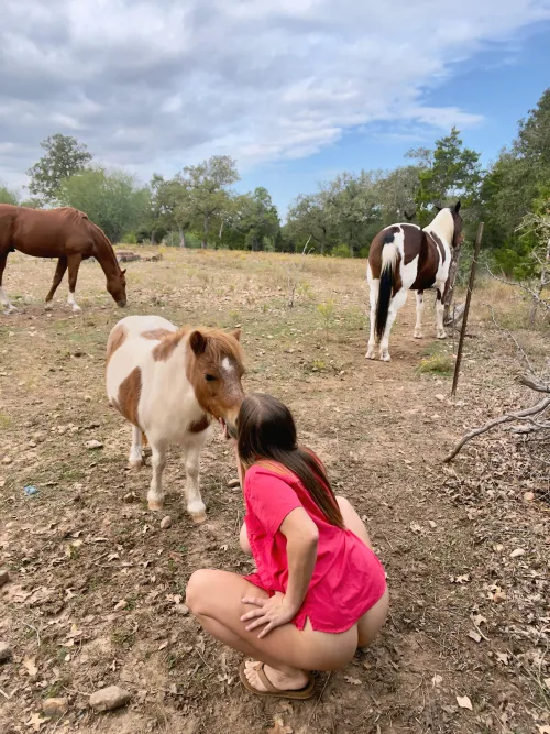 Thumbnail Countrygirls' Life: Tales of Love and Tolerance | Sasha_jo94