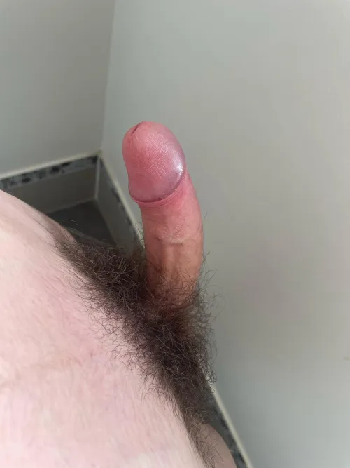 Thumbnail Exploring the World of Hairy Balls 19 | Author: Hairynutter69