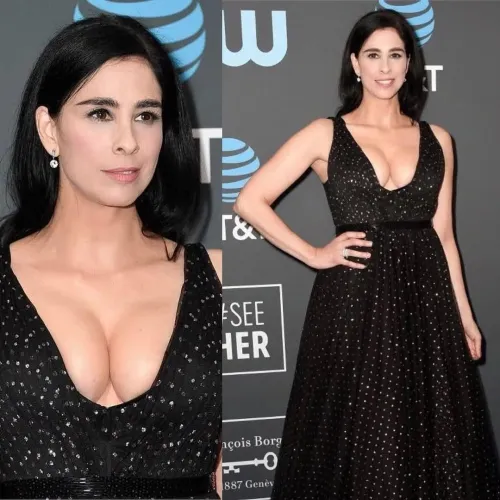 Thumbnail Sarah Silverman: An Intriguing Figure by pmb0077