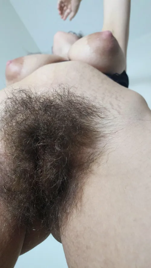 Thumbnail Long and Dense Bush Confessions: xoxo_fckmeee_allie | hairywomenaresexy