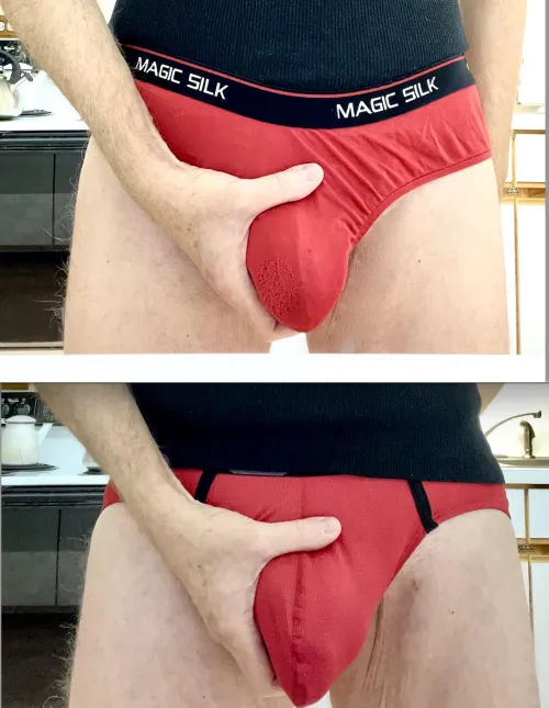 Thumbnail Red Magic Silk Briefs & Red WildmanT Briefs by shyishguyish in MenGW