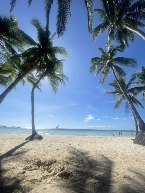 Thumbnail Breathtaking Beauty of Haitian Waters: colapepsikinnie's Beach Adventure