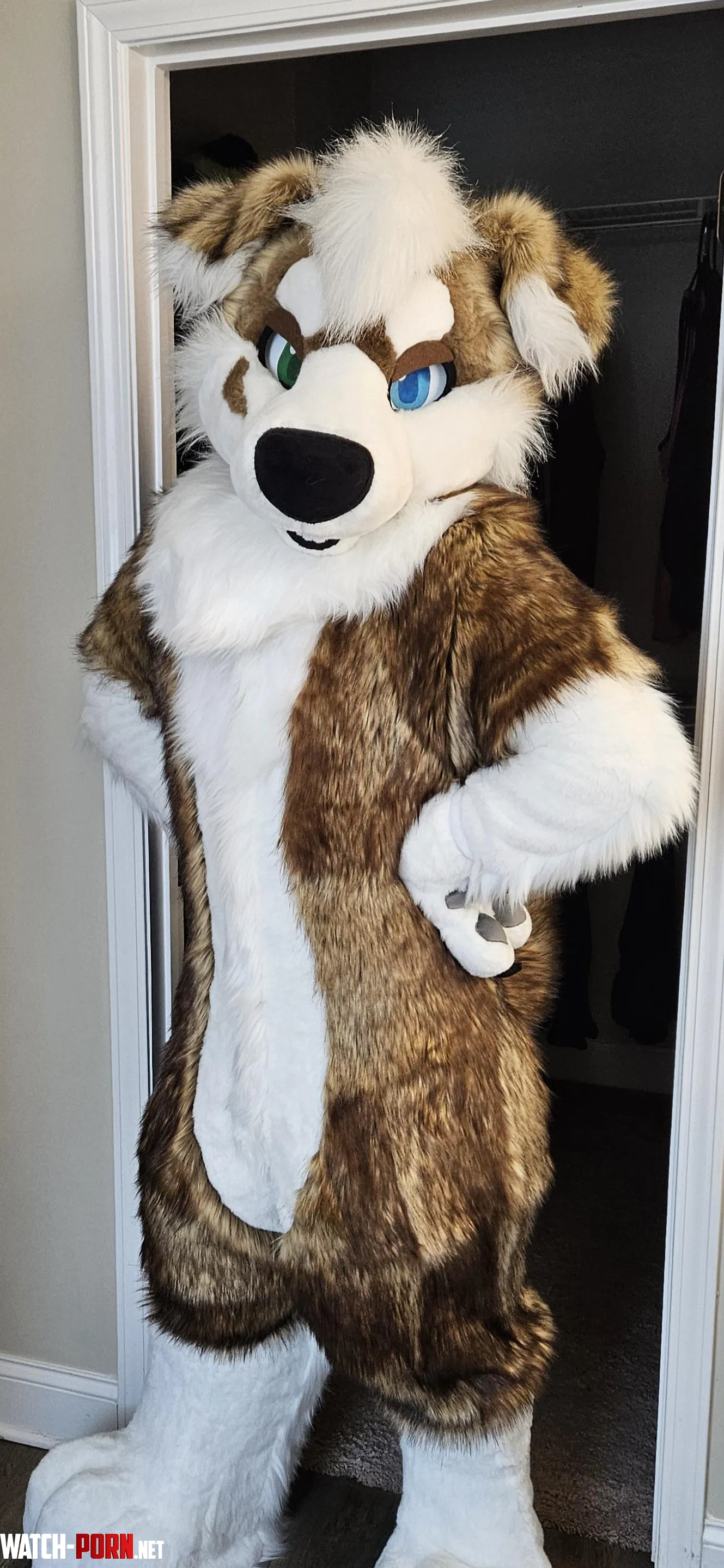 Got My Fursuit Just Before MFF  by Kurfluffin