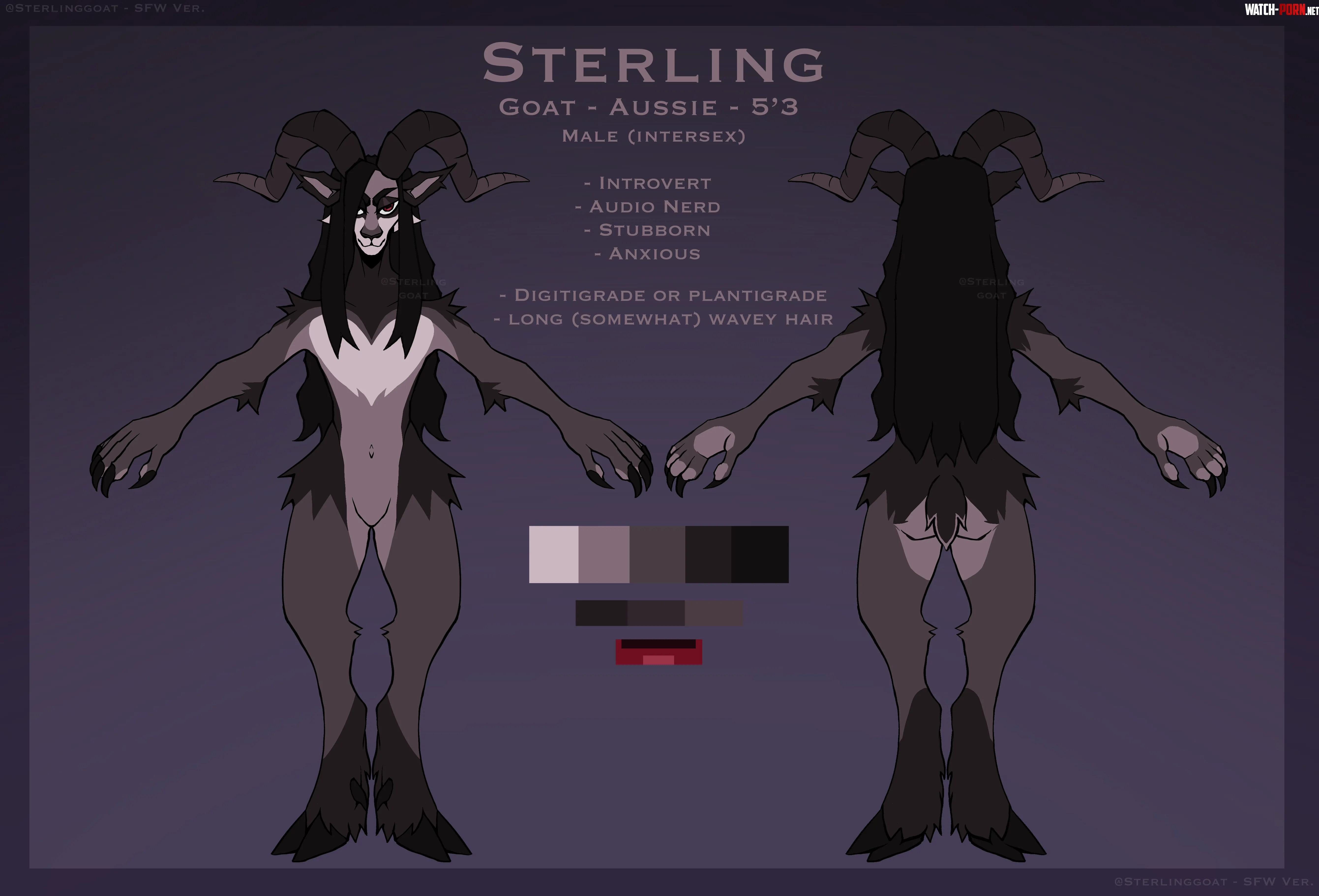 Finished my Sonas ref sheet earlier by Sterlingggoat