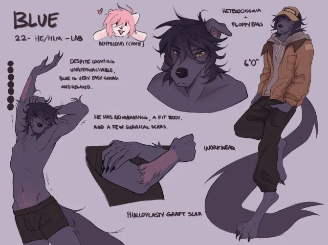 Thumbnail Furry Art: Proper Ref for My Boy D by dognightmare6