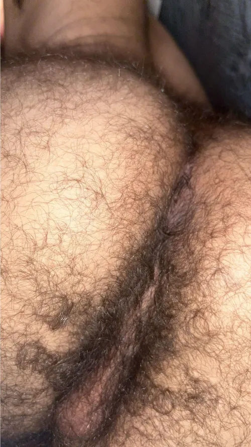 Thumbnail Hairy Manass Display: Embracing Natural Sensuality