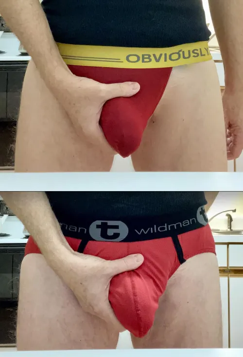 Thumbnail Red Obviously Mustang Briefs & Red Wildman T Briefs | MenGW