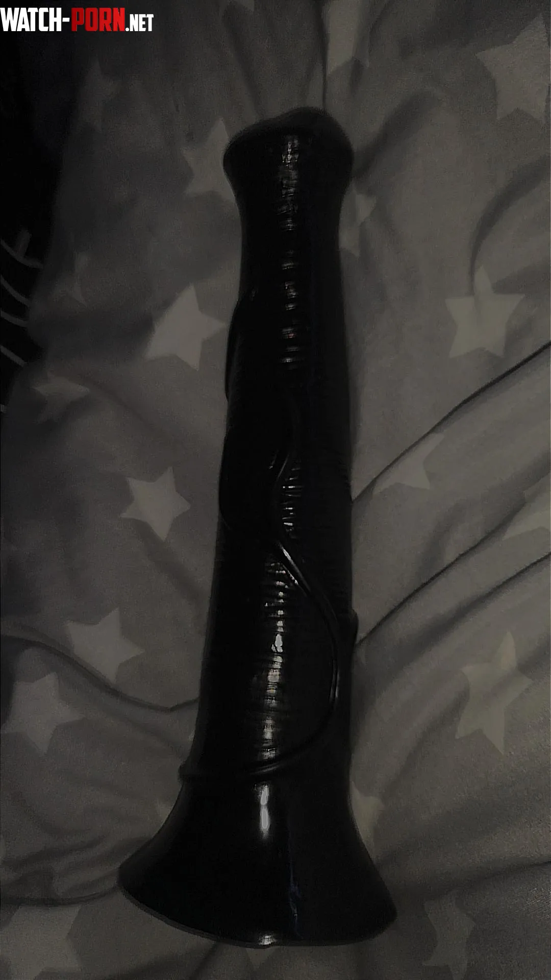 20 Just got a new dildo by Wannabe__sissy2022