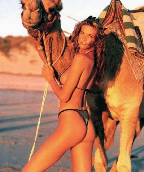 Thumbnail Elle MacPherson: Celebrity Butts Spotlight | JKREDDIT75