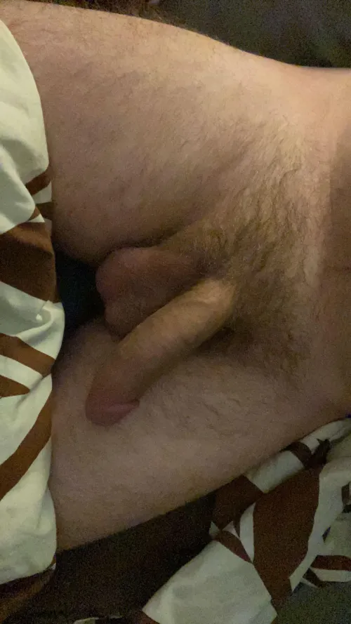 Thumbnail Just4theporn69 reveals: 'You Should See It Hard' - ratemycock Insights