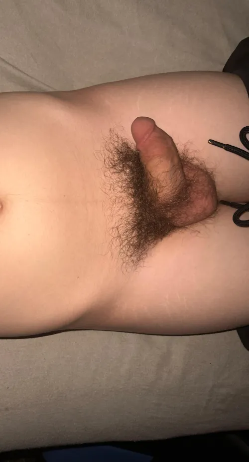 Thumbnail Exploring Sensuality: Soft-Cut Hairy Cock Display in Twink Realm