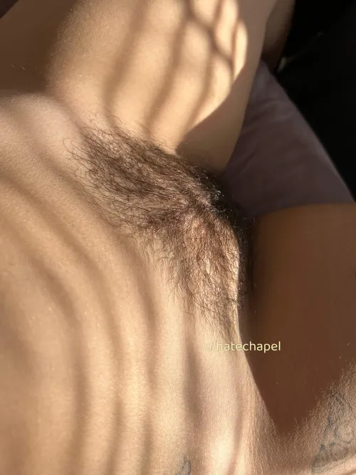 Thumbnail Inviting You In: hatechapel's Perspective on HairyPussy