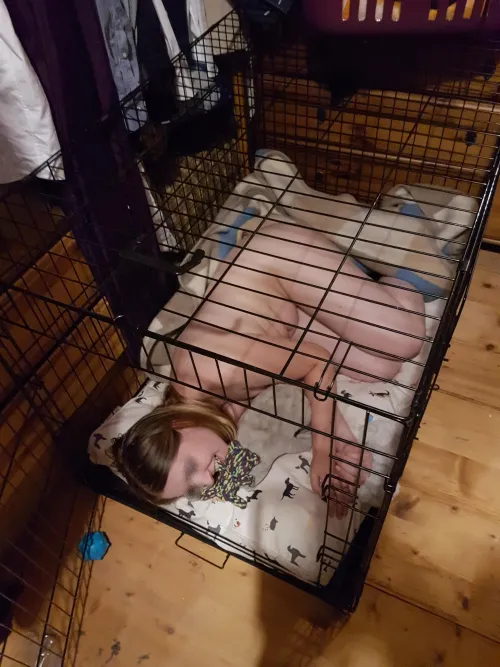 Thumbnail Enter the World of Petplay: Just a Girl in Her Kennel - TierischErgeben | petplay