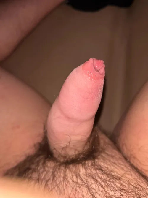 Thumbnail Exciting Club's Display: 18-Year-Old Uncut 5-Inch Cock Unleashed