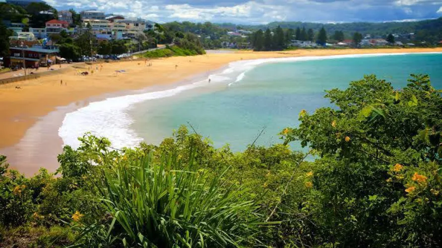 Thumbnail Terrigal Beach: Where Serenity Meets the Sea | jjp82