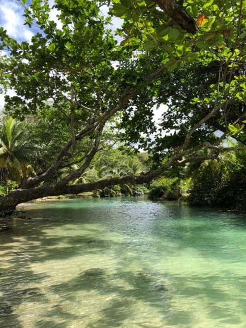 Thumbnail Beach: Frenchman's Cove Jamaica by colapepsikinnie