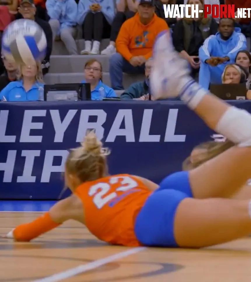 Florida Volleyball  by Wolfz44