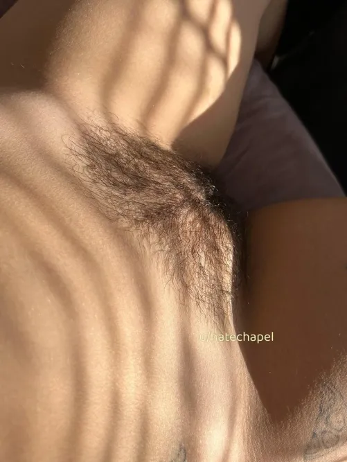 Thumbnail Cute Views and Cozy Nooks: Exploring hatechapel's Hairy Perspective | HairyPussy