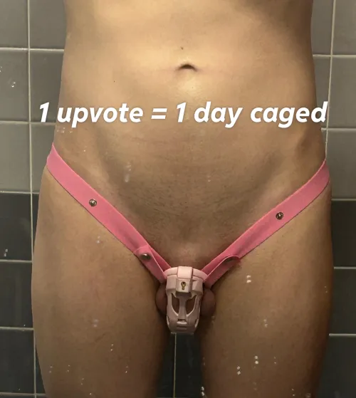 Thumbnail Endurance Test: undercover_sissyslut's SissyChastity Challenge