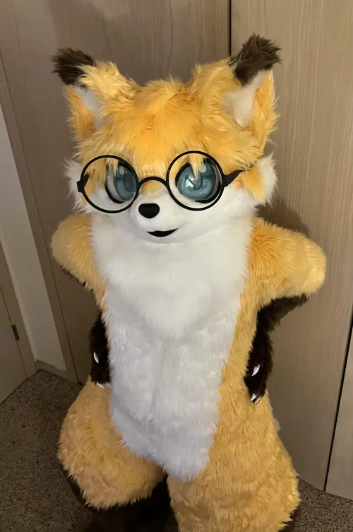 Thumbnail Fox Does NOT Approve of Your Height – Insights by CatalopeSeats - Furry Category