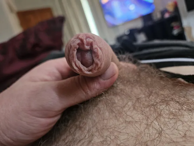 Thumbnail Provocative Question: Would You Dare to Lick It? Exploring Foreskin Fantasy