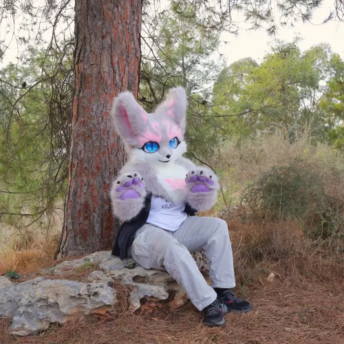 Thumbnail Fursuit Dream Come True: Embracing Furry Fandom