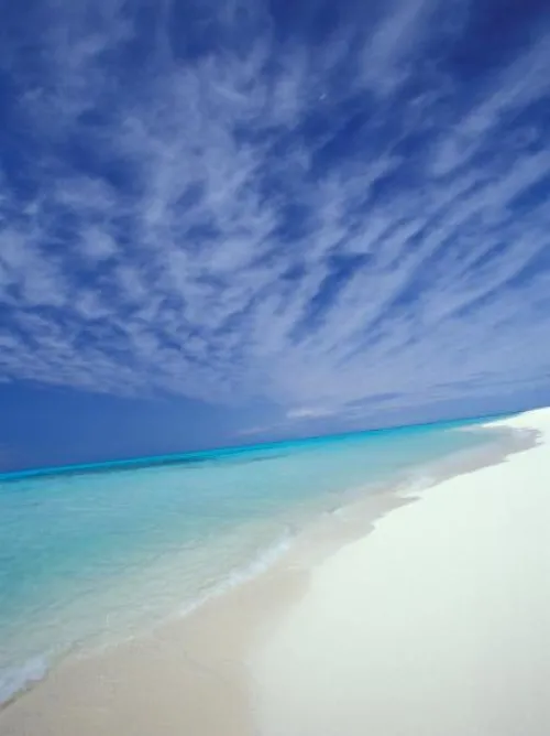 Thumbnail Explore the Untouched Beauty of Midway Atoll Beach