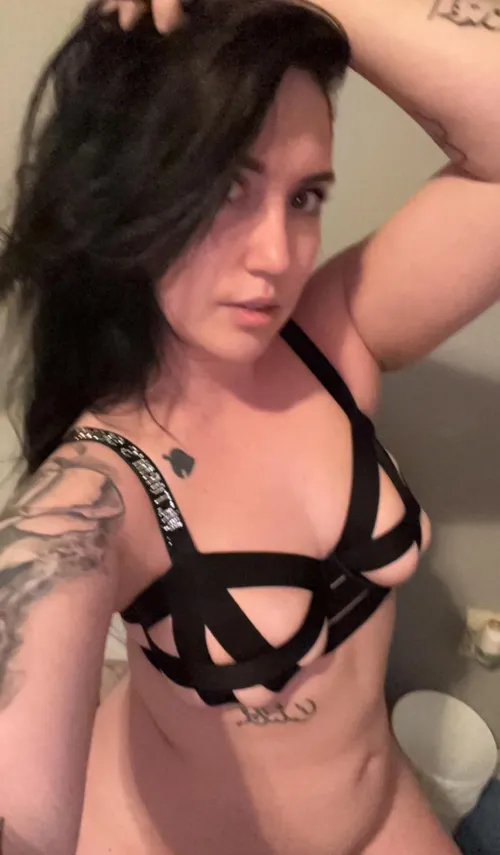 Thumbnail LeastAnomicRedditor Unveils Their New Bra in a Daring Display