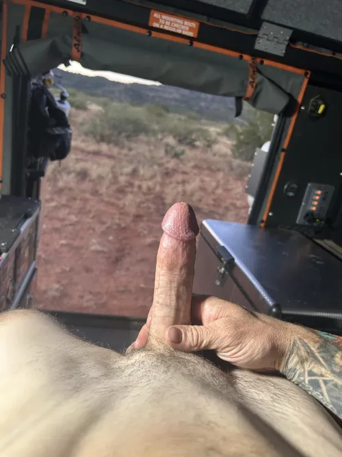 Thumbnail Public Opinion Wanted: Thoughts on tiger_cock69 | penis