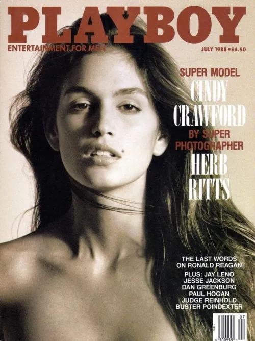 Thumbnail Iconic Captivation: Conscious-Dingo4463's Cindy Crawford Homage