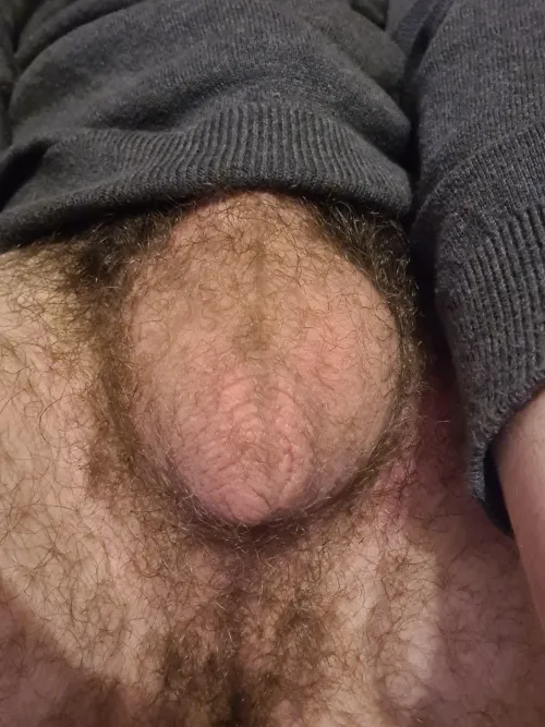 Thumbnail Do My 18-Year-Old Hairy Balls Look Good? Exploring Confidence with Optimal_Offer810