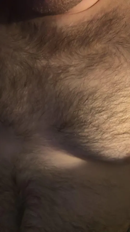 Thumbnail Chest to Lay On: BigBearEire_ Insanely Hairy Men