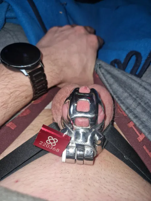 Thumbnail Sealed Desires: Accomplished_Ad_4575's Journey into SissyChastity