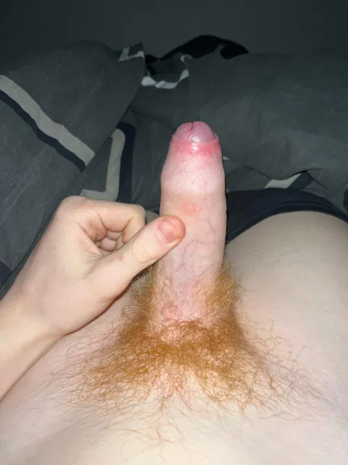 Thumbnail Exploring My Young Uncut Penis | PaySpecial4793