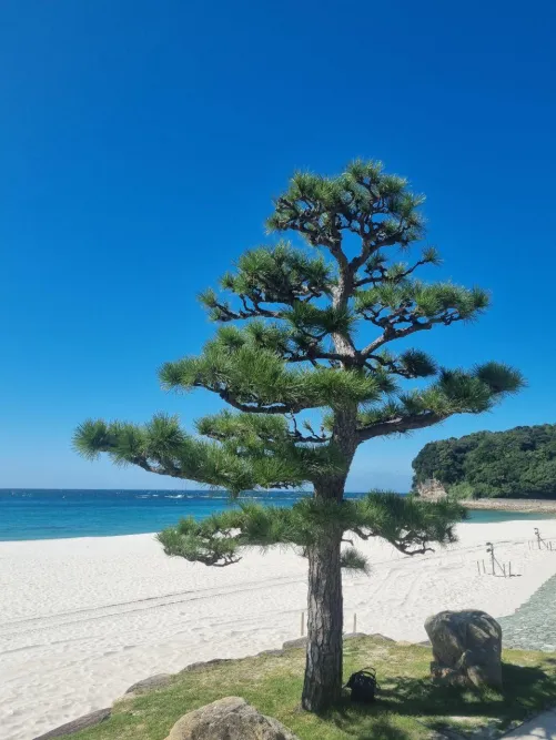 Thumbnail xxFoxyJeans_17 Explores Wakayama: A Japanese Beach Adventure