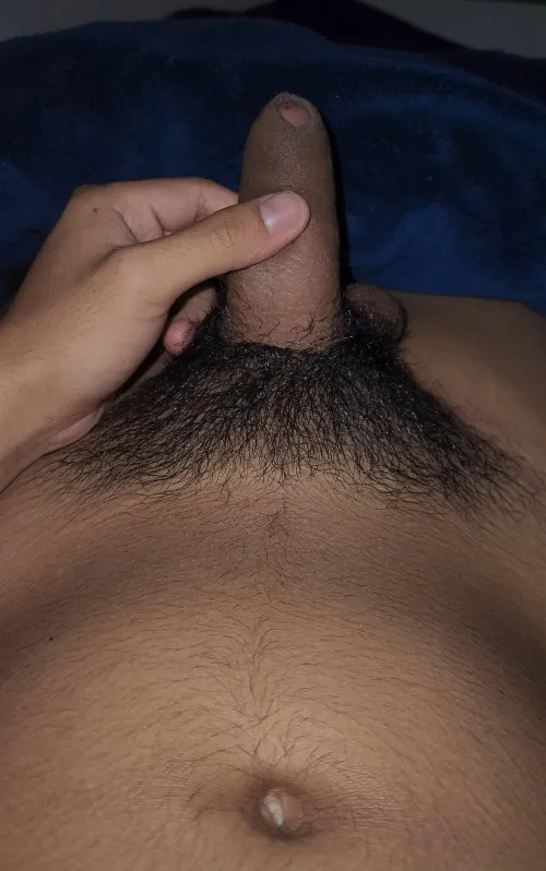 Thumbnail To Shave or Not to Shave: A Foreskin Dilemma by x100preO