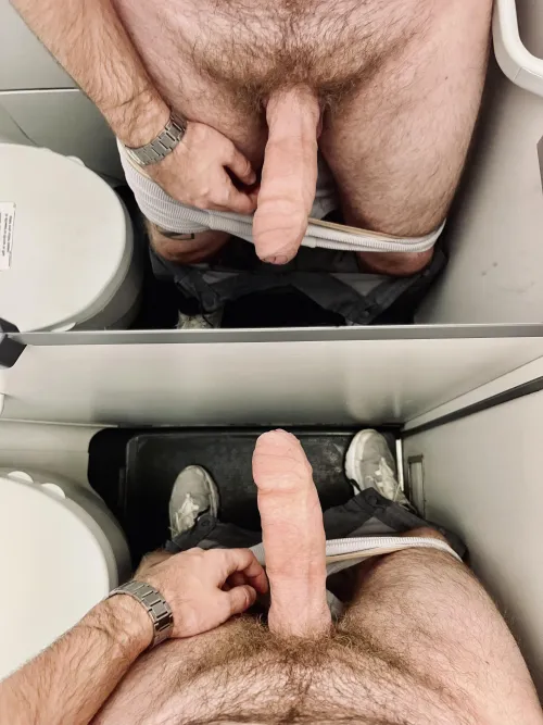 Thumbnail Honest Rate in Airplane Restroom - stereotape | ratemycock