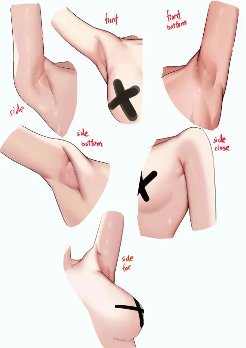 Thumbnail Armpit anatomy by ideologypercent