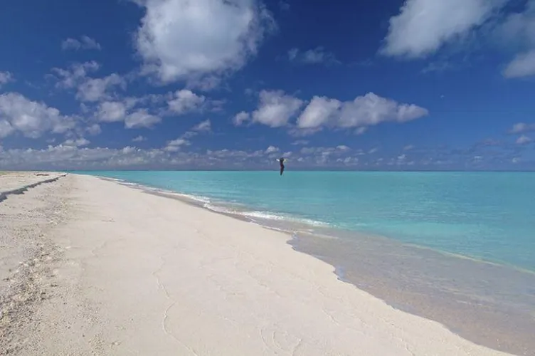 Thumbnail Embrace the Serenity of Blue Water and Sky | beach