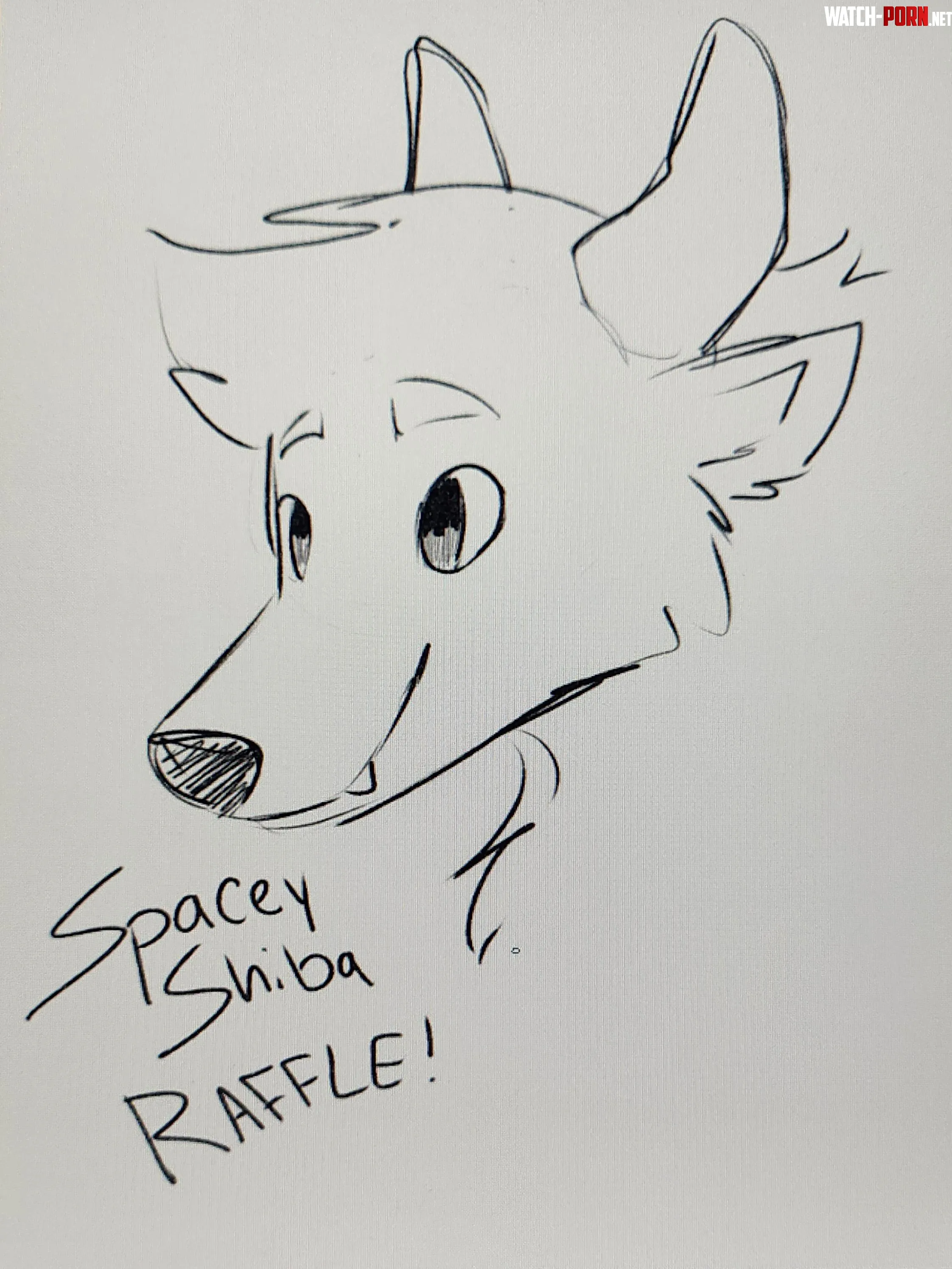 Headshot Raffle Follow  Comment to enter MUST DO BOTH Ends Sunday by Sup_its_Sparky