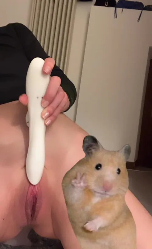 Thumbnail EvaParisi72's Playful Hamster Greeting: Get to Know F25