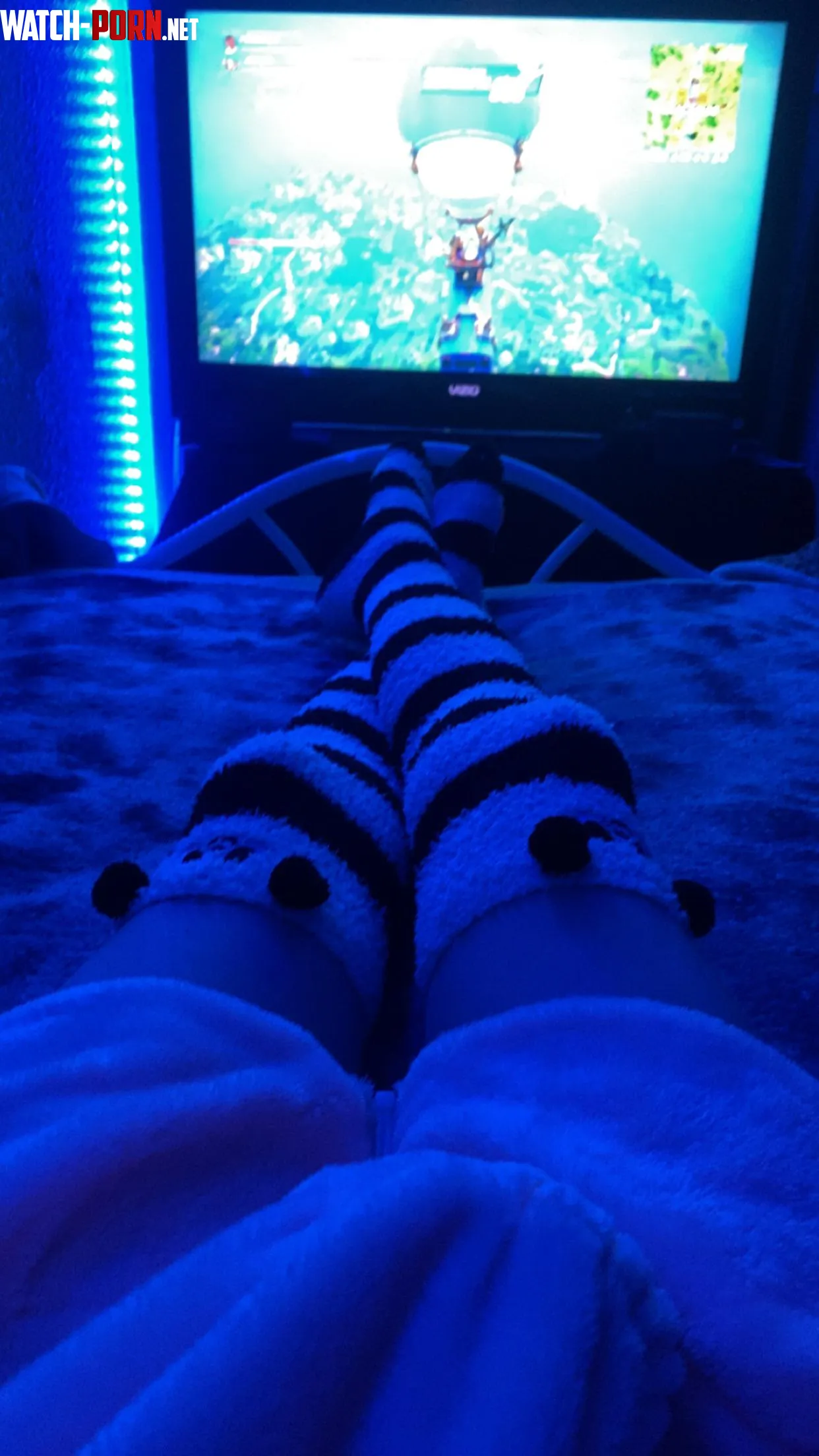 My new thigh highs are so comfy gtult by S0meRandomP3rson