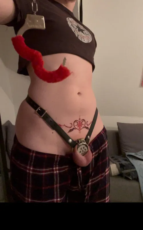 Thumbnail To Cuff or Be Cuffed: Exploring Sissy Chastity