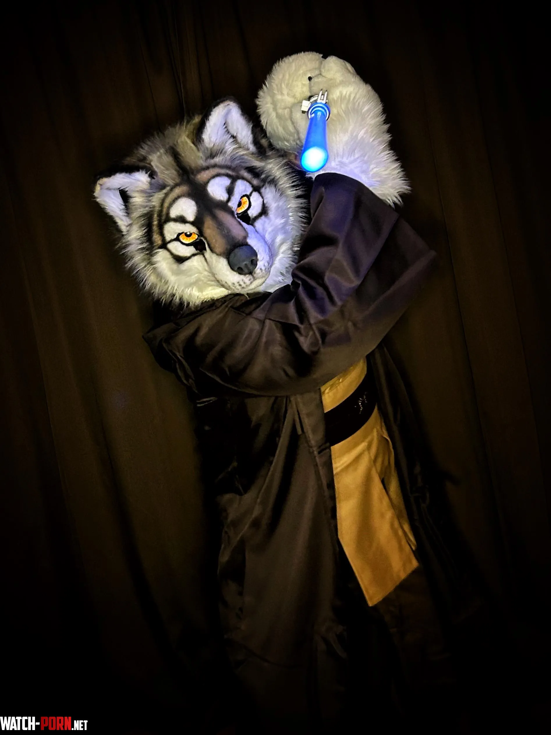 A Jedi wolf always gets to the point by smog_the_wolf