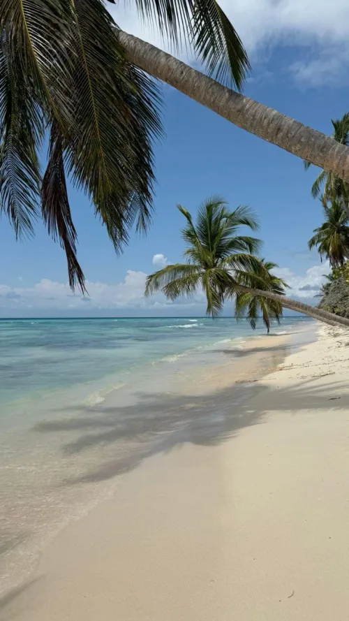 Thumbnail Enchanting Saona Island, Dominican Republic: A Beach Paradise by yeuxdusphynx